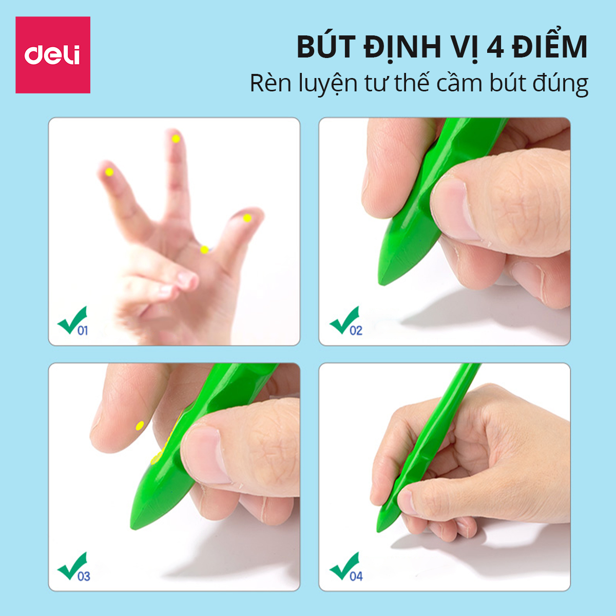 Bút Sáp Màu Bọt Biển Hữu Cơ Định Vị Deli- 2/24 Màu Tươi Ít Vụn An Toàn Không Bẩn Tay Tô Màu Vẽ Tranh