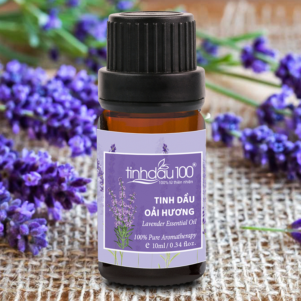 Tinh dầu Oải hương Lavender | Tinh dầu thư giãn, ngủ ngon | Xuất xứ Pháp