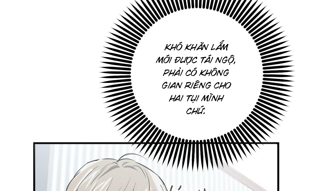 đàn thỏ của habibi chapter 51 212