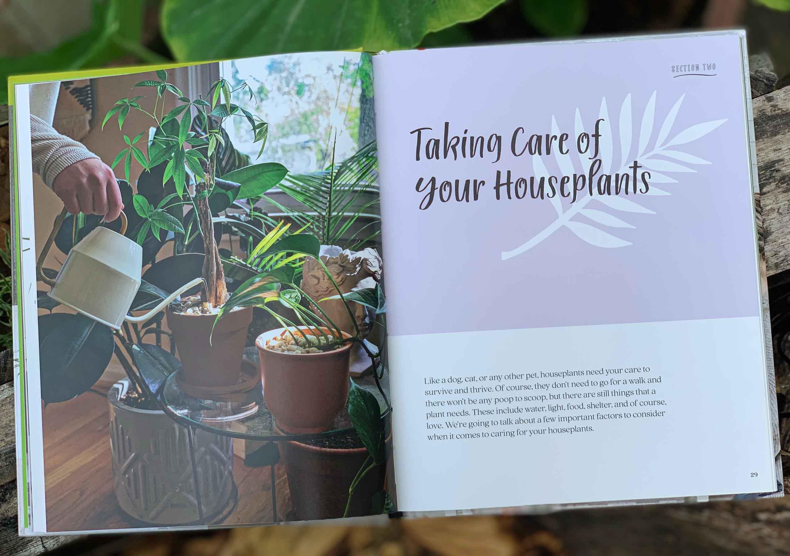 Houseplant Party : Fun projects &amp; growing tips for epic indoor plants