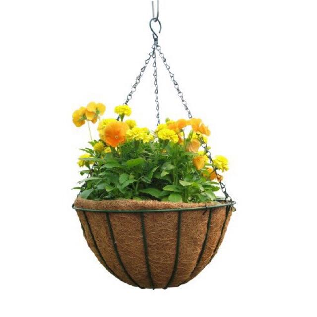 Chậu Treo Xơ Dừa Khung Sắt Đặc - Trồng Cây treo Fi30 - Coconut Fiber Hanging Pots (30x30)