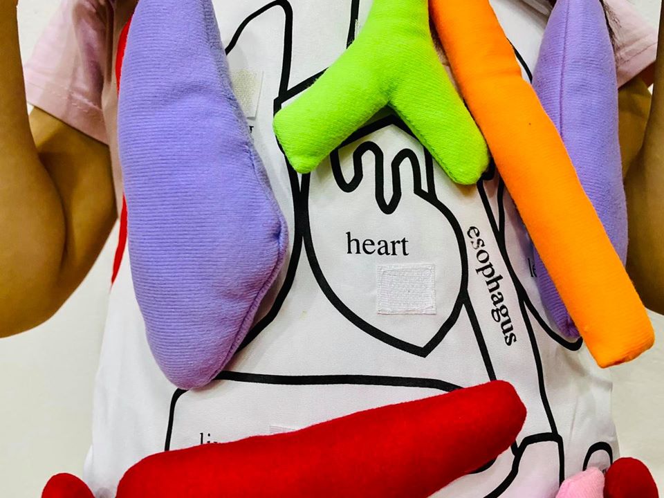 ANATOMY KIDS TOY - bộ đồ chơi tạp dề khám phá cơ thể