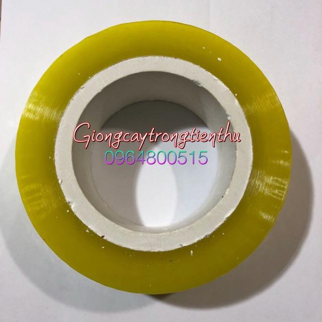 CUỘN BĂNG DÍNH ĐÓNG GÓI HÀNG