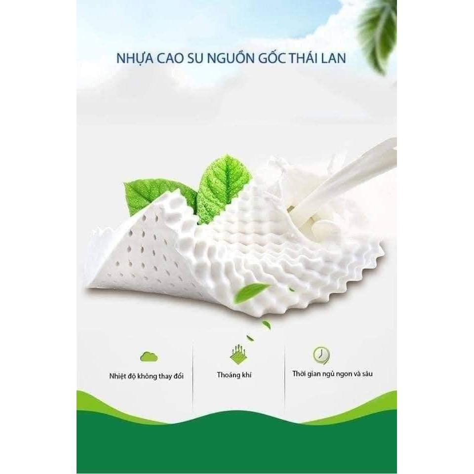 GỐI CAO SU NON THIÊN NHIÊN THÁI HÃNG VENTRYY SIÊU BỀN HÀNG CAO CẤP