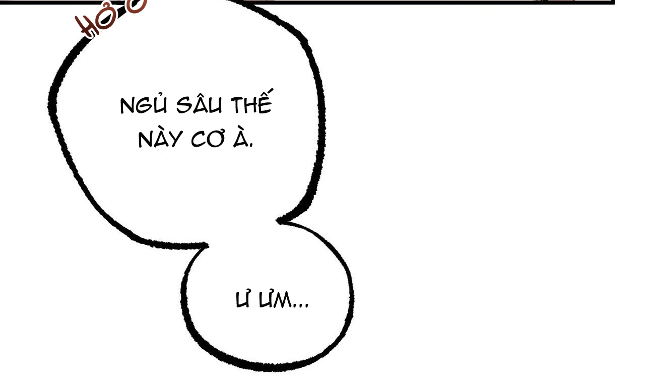 đàn thỏ của habibi chapter 33 39