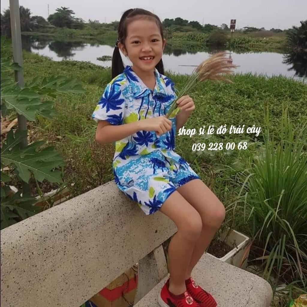 Đồ đi biển mẫu dừa nền trắng
