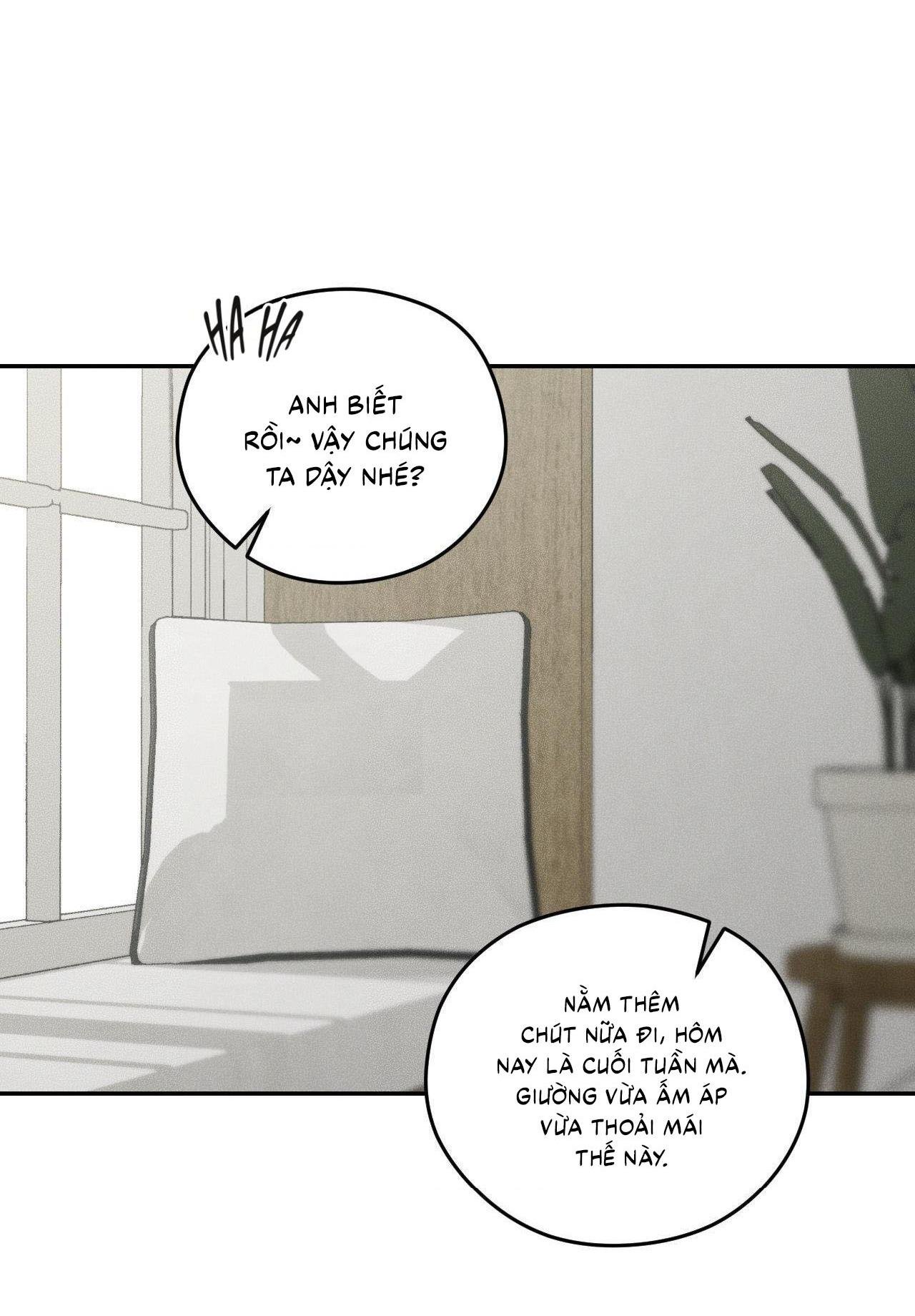 gấu teddy thân yêu chapter 36 47