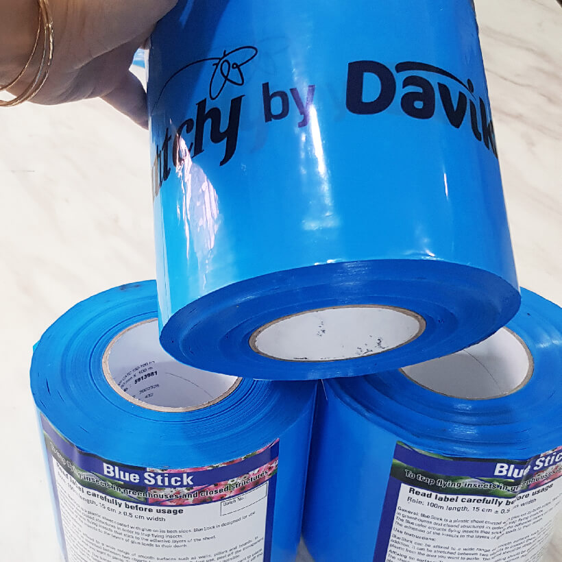 Keo Bẫy Xanh Diệt Bọ Trĩ nhập khẩu Israel Blue Trap gây hại nông nghiệp với thời gian trên 8 tháng chịu mưa nắng và nước tưới