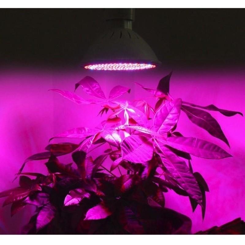 ĐÈN LED TRỒNG CÂY, TRỒNG RAU TRONG NHÀ 28W - LOẠI TỐT