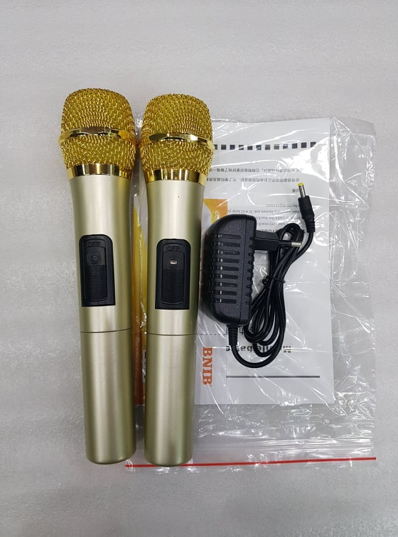 Loa kéo Karaoke Bluetooth BNIB M9: Bass 20, Có 2 Micro không dây đi kèm