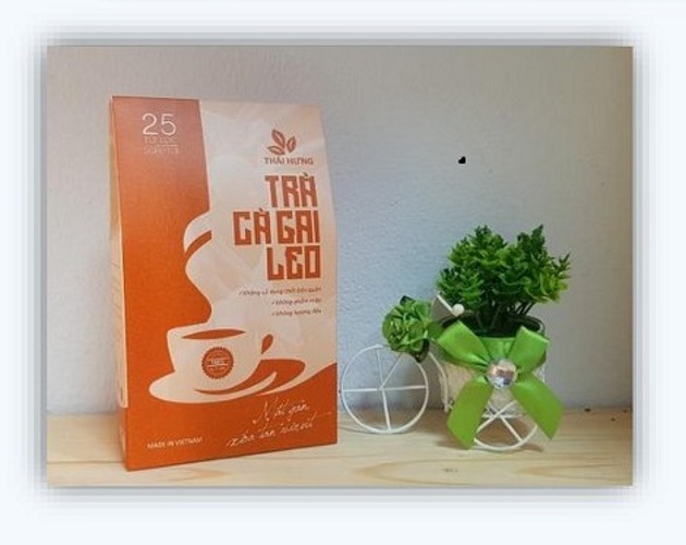Combo 08 Hộp Trà CÀ GAI LEO Thái Hưng Thải độc gan, mát gan, giải rượu 25 túi lọc 5g