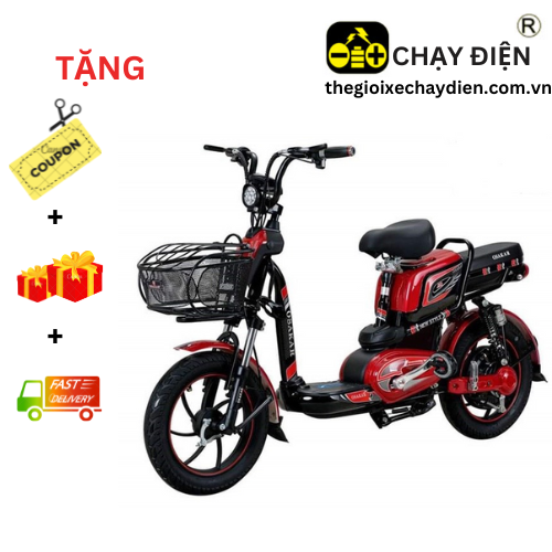 Xe Đạp Điện Osakar A10