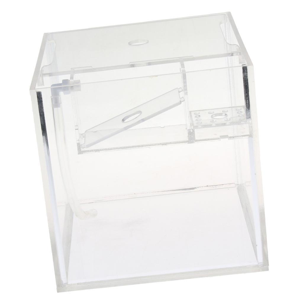 Tropical Betta Mini Tank Arcylic Aquarium Small Tank