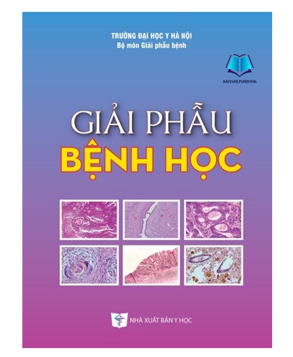 Sách - Giải phẫu bệnh học 2022 (Y)