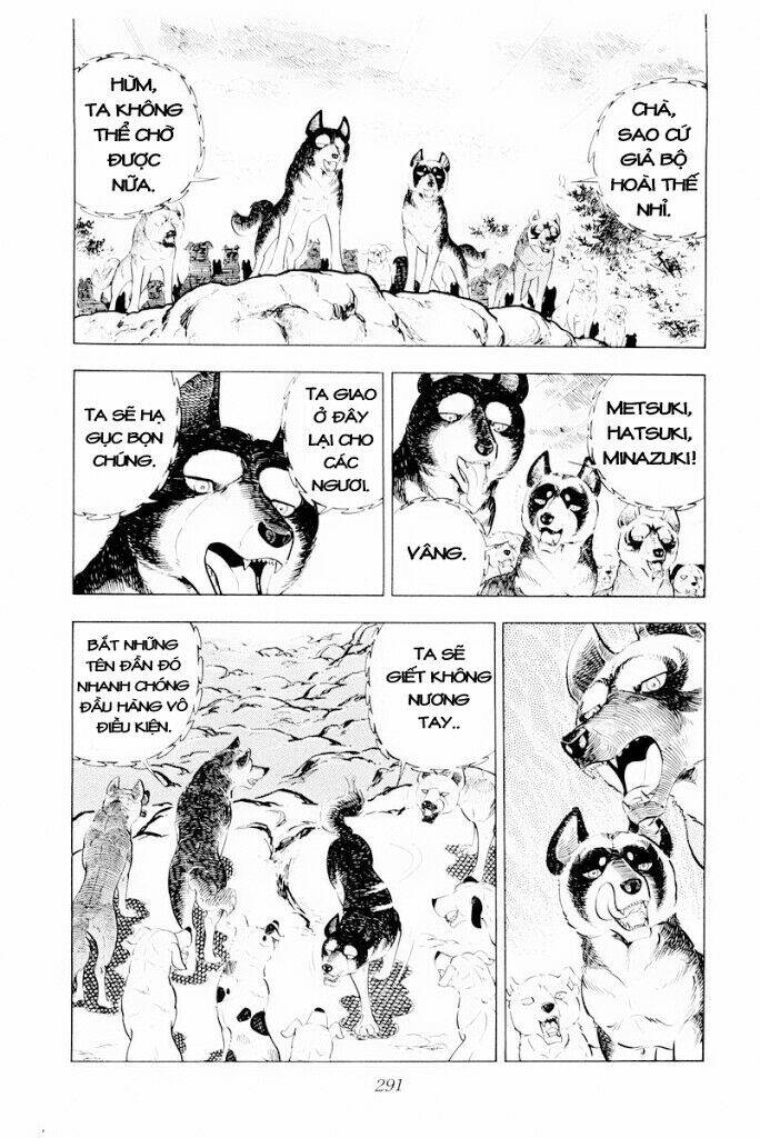 chú chó có nghĩa - ginga nagareboshi gin chapter 30.2 14