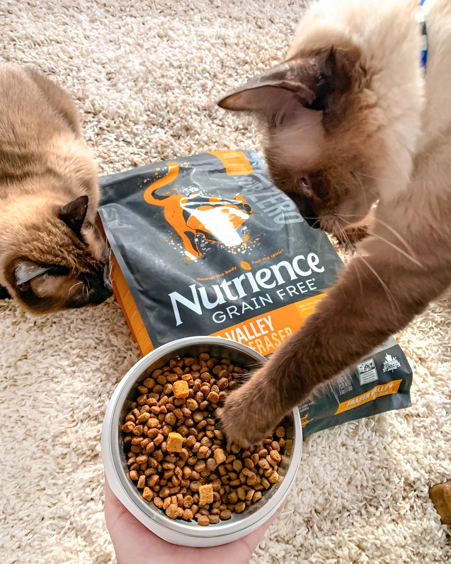 Thức Ăn Hạt Cho Mèo Nutrience Subzero Bao 500g & 2.27kg Vị Gà Tây Và 6 Loại Cá Biển Trái Cây Rau Củ Quả