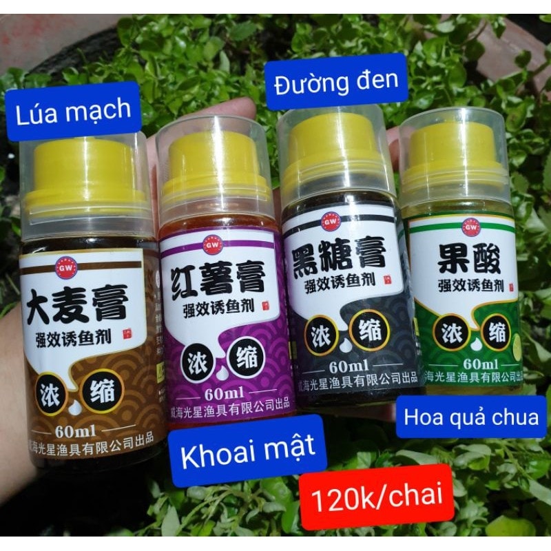 Tình mùi GW của thương hiệu : Guanxing