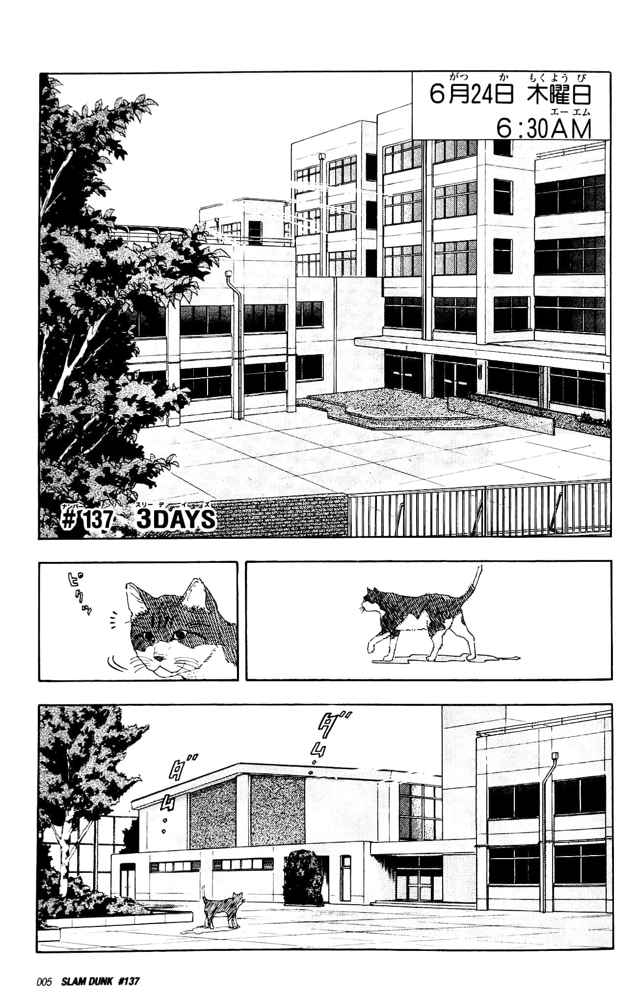 Slam Dunk 13 - Jump Comics Deluxe (Japanese Edition)