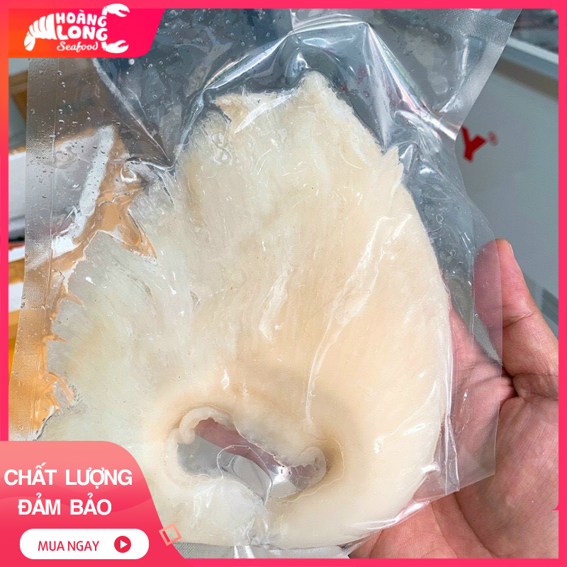 Vi cá mập (size vừa) 1kg