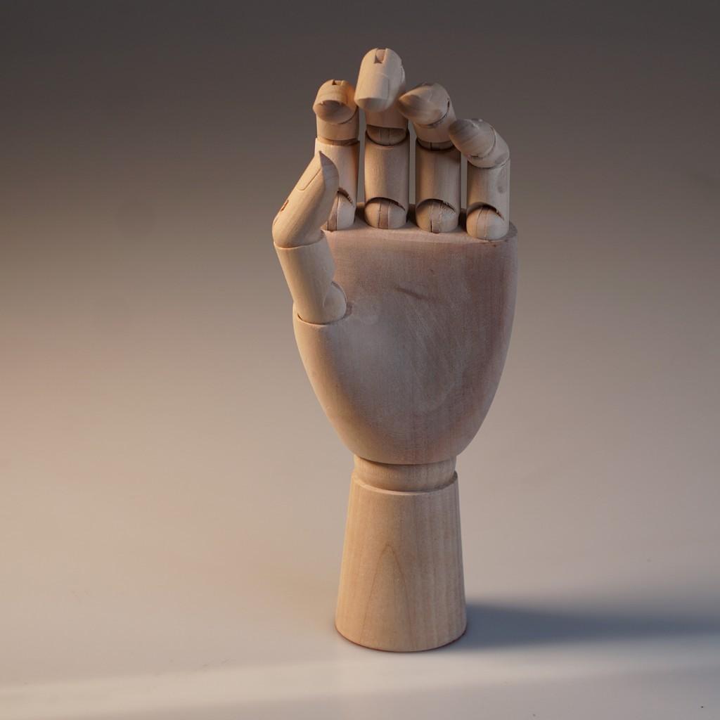 Bàn tay Gỗ vẽ Kiến trúc Mannequin