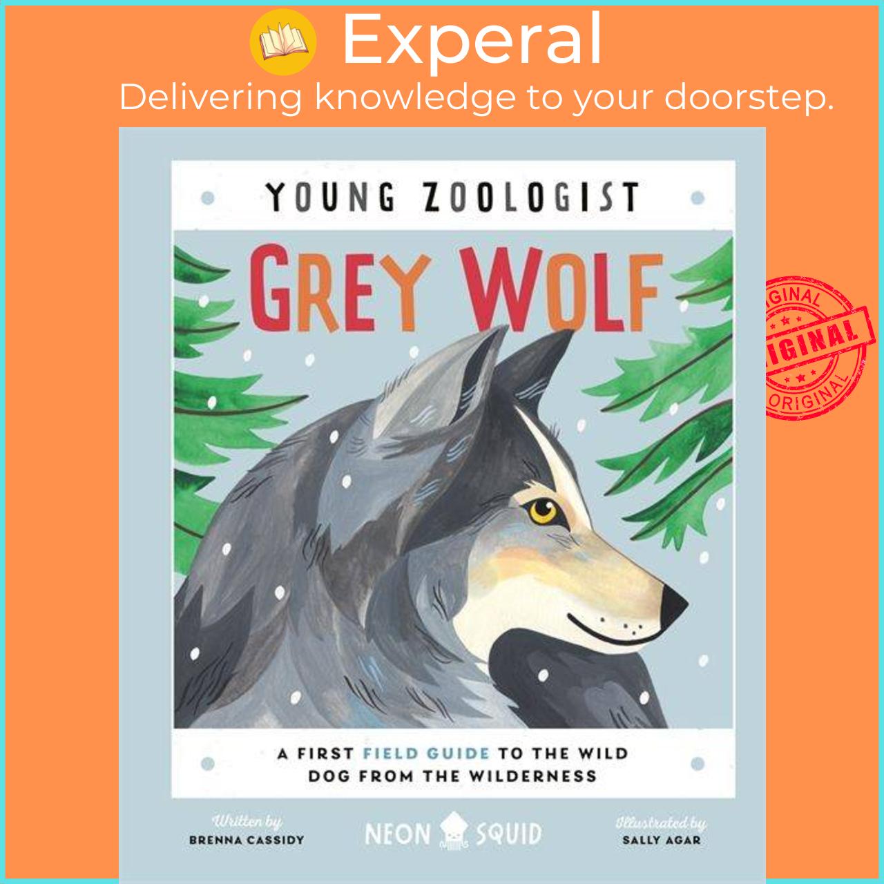 Hình ảnh Sách - Grey Wolf (Young Zoologist) - A First Field Guide to the Wild Dog from the  by Sally Agar (UK edition, hardcover)