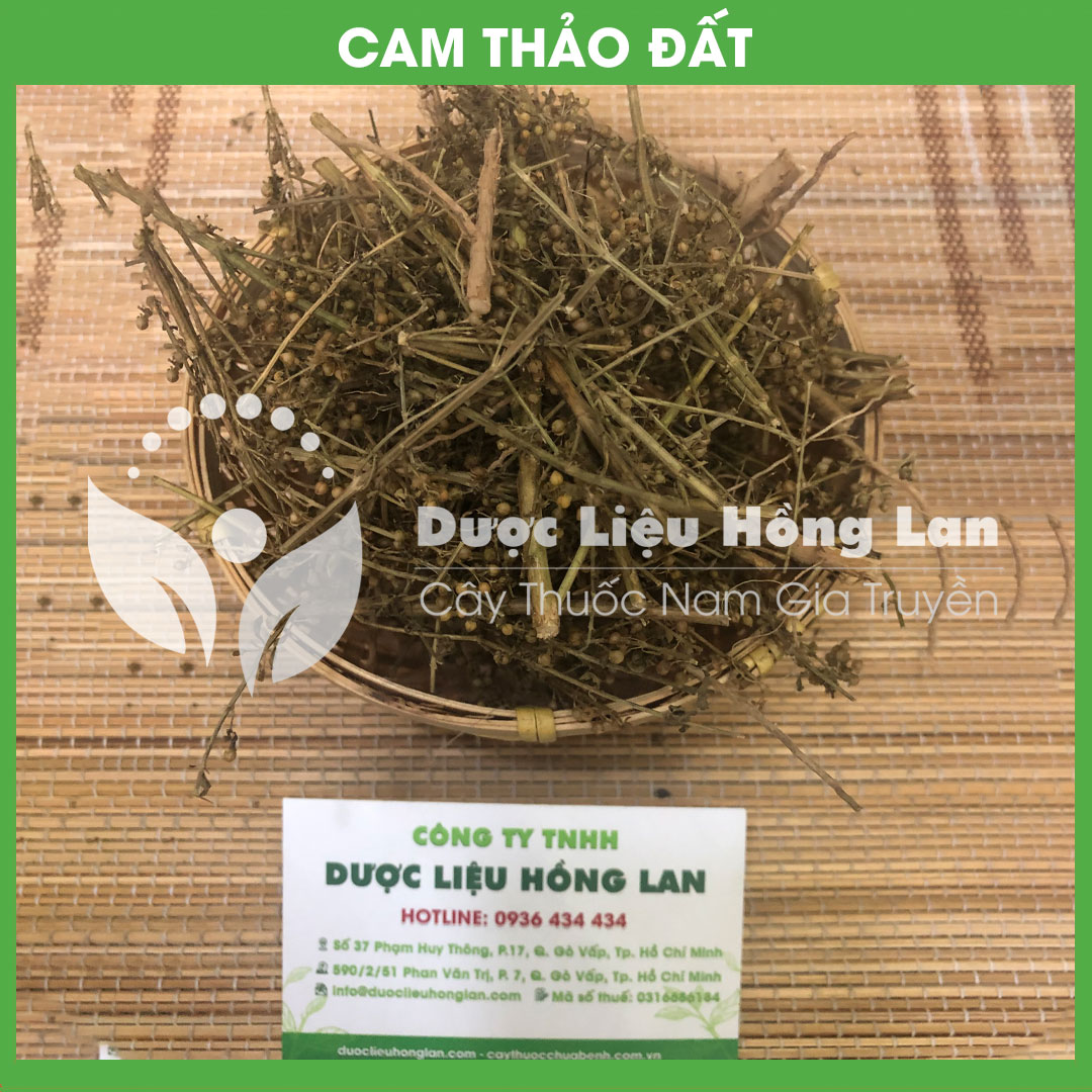 500g Cam Thảo Nam (Cam Thảo Đất) khô sạch