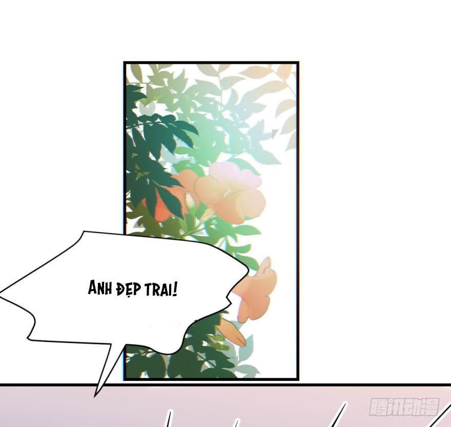 bắt lấy ngao ngao chapter 60 31