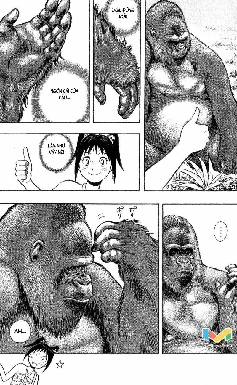 animal sense chapter 3 15