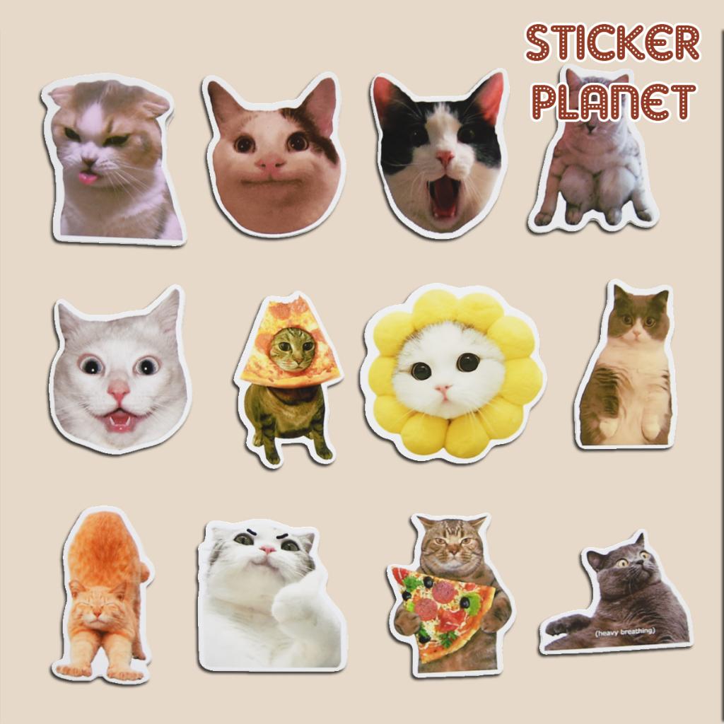 Sticker MEME MÈO hài hước nhãn dán trang trí mũ bảo hiểm, laptop, vali, ván trượt