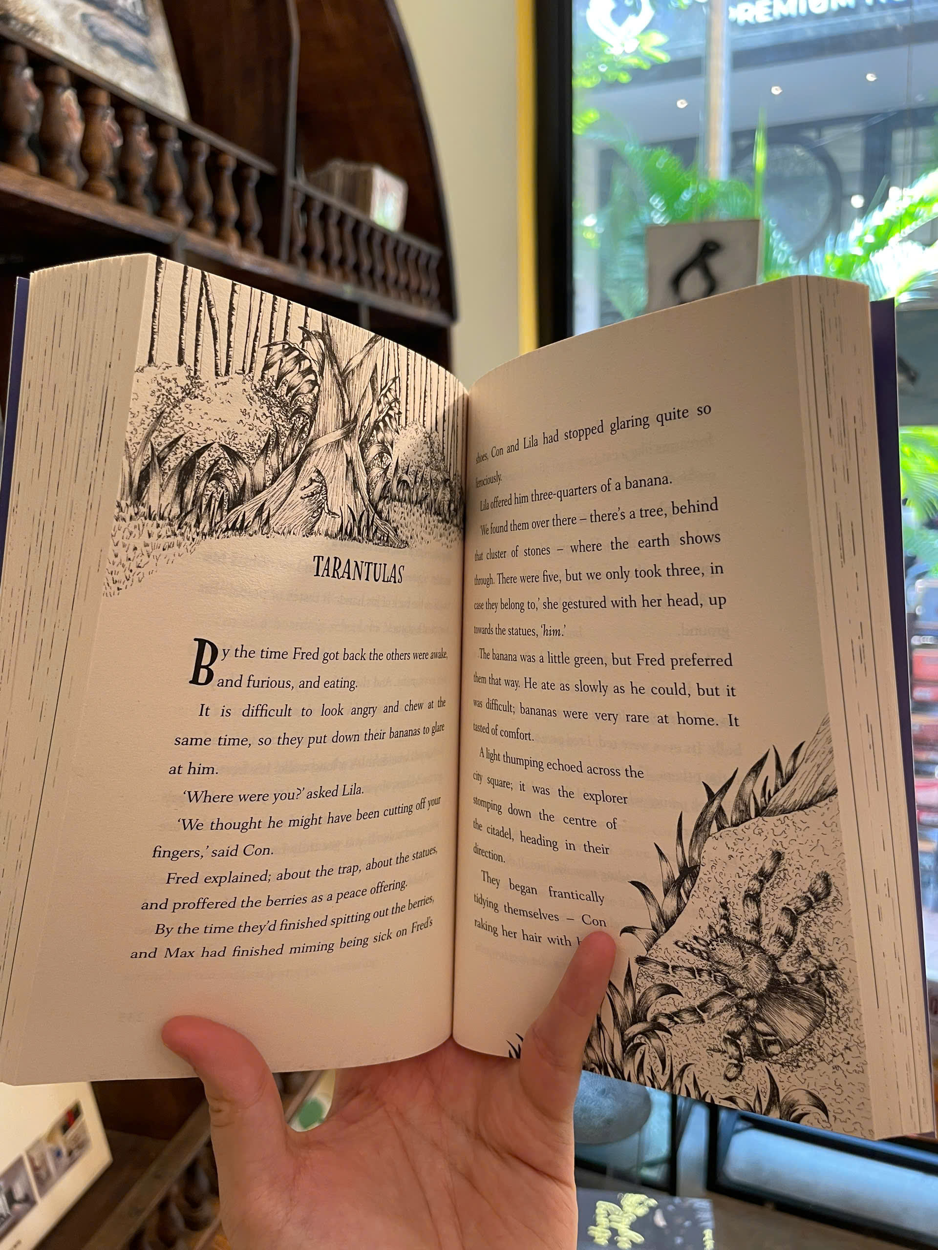 Sách - The Explorer by Katherine Rundell - Middle Grade/Adventure/Fiction book in English