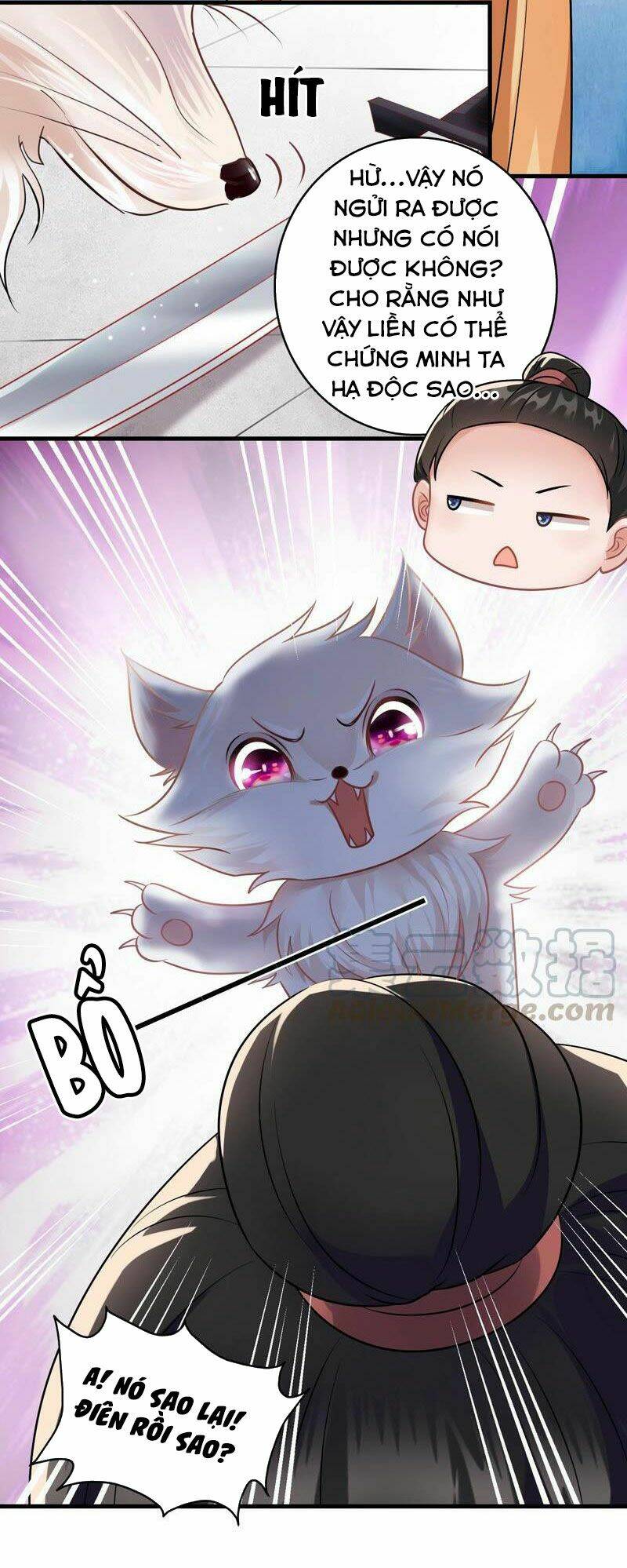 thái tử điện hạ có tin vui chapter 73 16