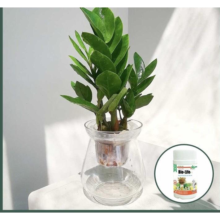 BIO - LIFE DUNG DỊCH TRỒNG THỦY CANH ,CUNG CẤP DƯỠNG CHẤT CHO CÂY TRỒNG THỦY SINH 100ml