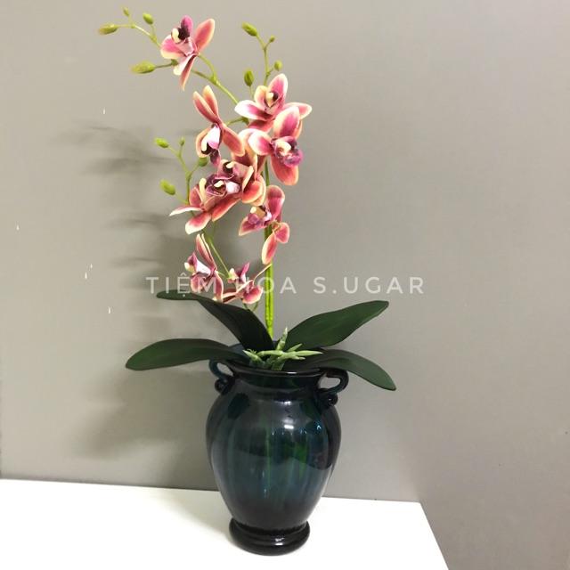 Bình hoa lan 17cm cao cấp