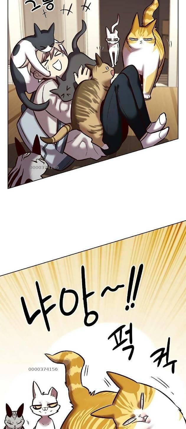 biến thân thành mèo chapter 239 3