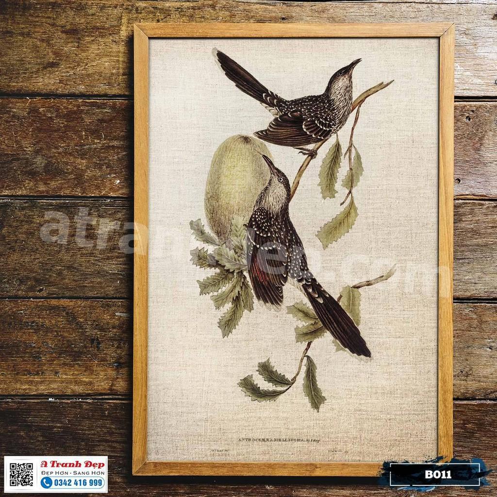 Tranh Canvas minh họa loài chim chích phong cách cổ điển - B011