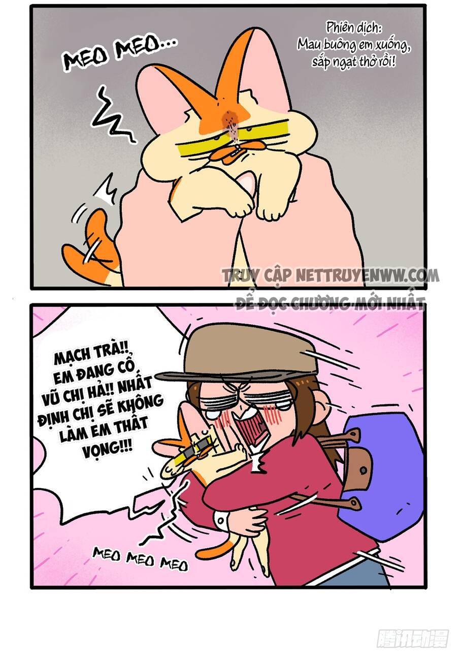 a mãn và mạch trà chapter 146 2