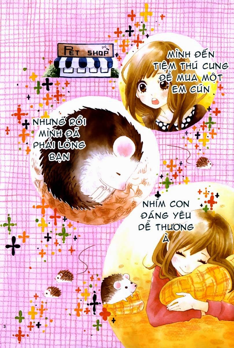 koisuru harinezumi chapter 1 4