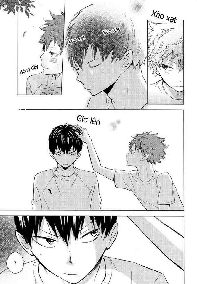 canon of lies chapter 1 13