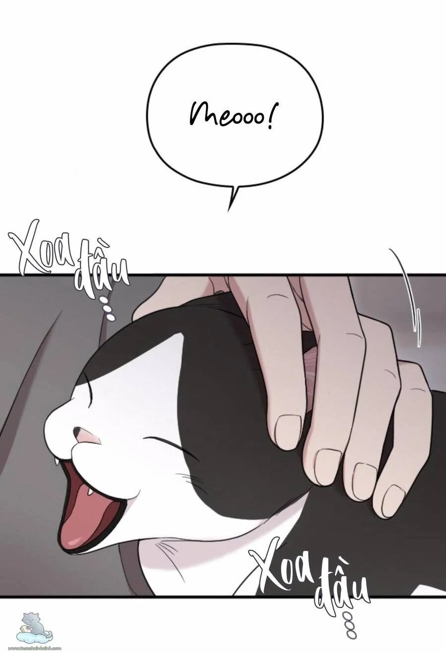 cô đi mà lấy chồng tôi chapter 32 38