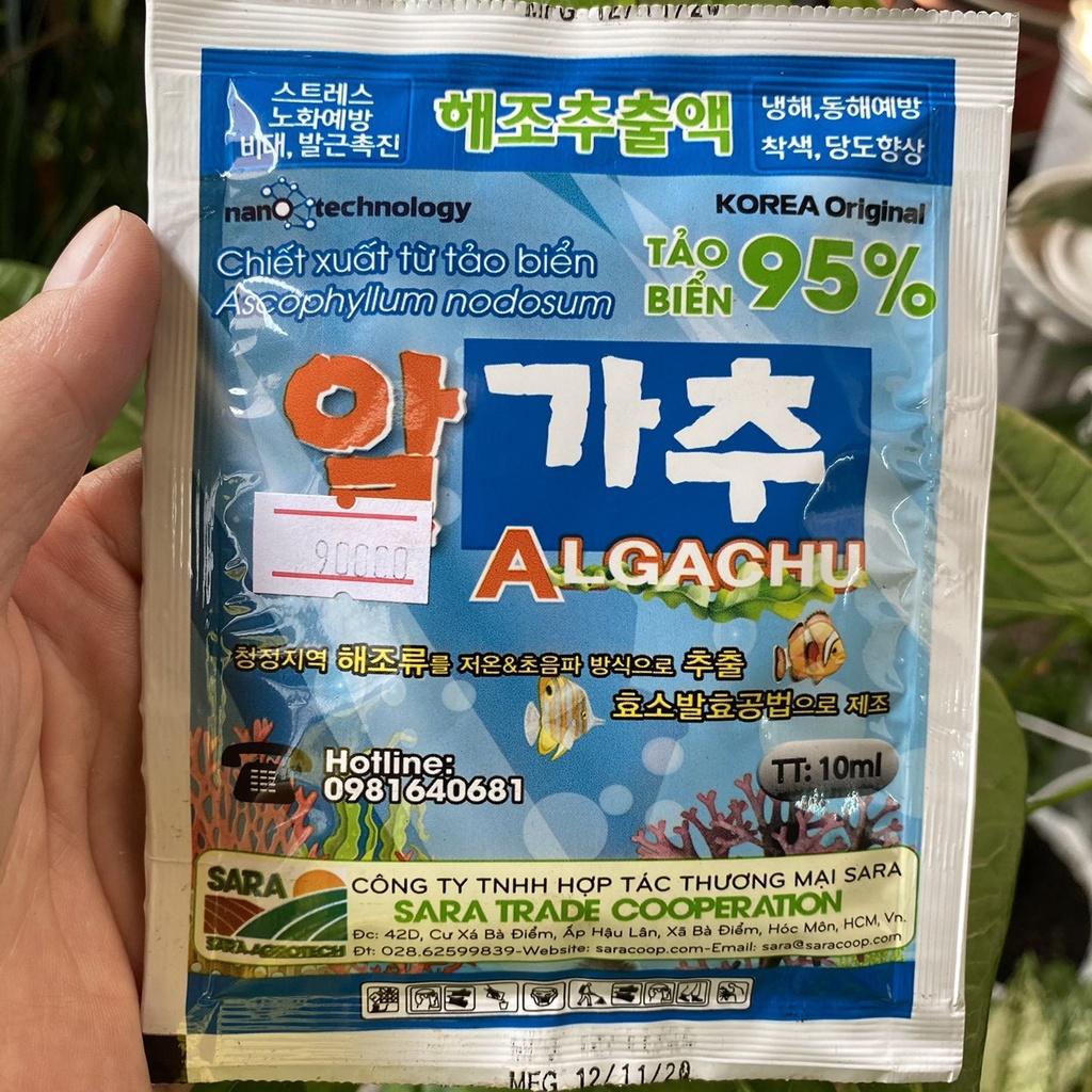 Combo 3 bịch tảo biển Algachu 10ml/bịch tiếp sức, tăng sức đề kháng cho cây trồng