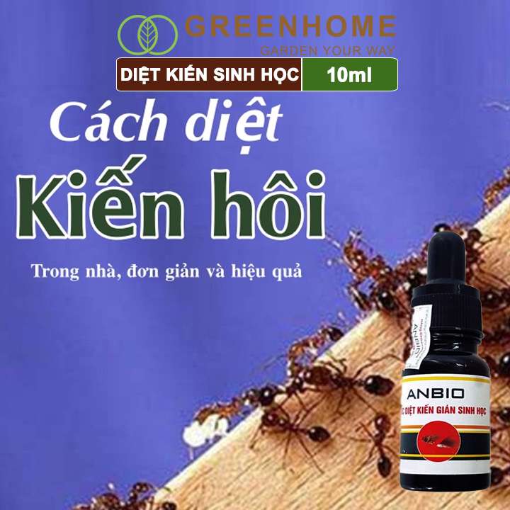 Thuốc diệt kiến gián sinh học Anbio, chai 10ml, an toàn, hiệu quả, tiết kiệm |Greenhome