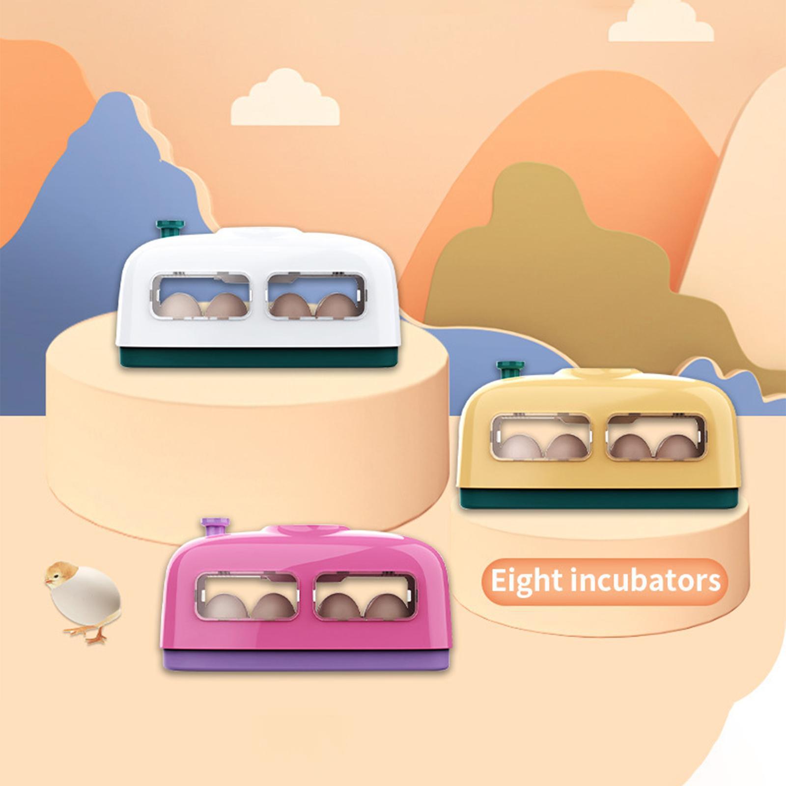 Small Egg Incubator  Digital Manual Egg Turning for   Birds