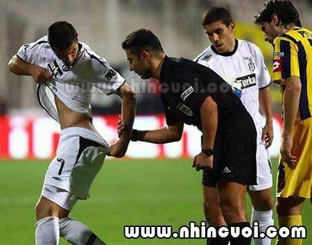 hình ảnh hài hước new chapter 14 6