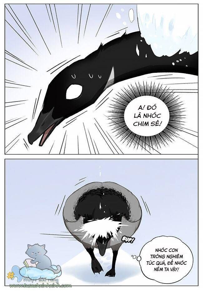 chim sẻ gọi ngỗng trời chapter 6 7