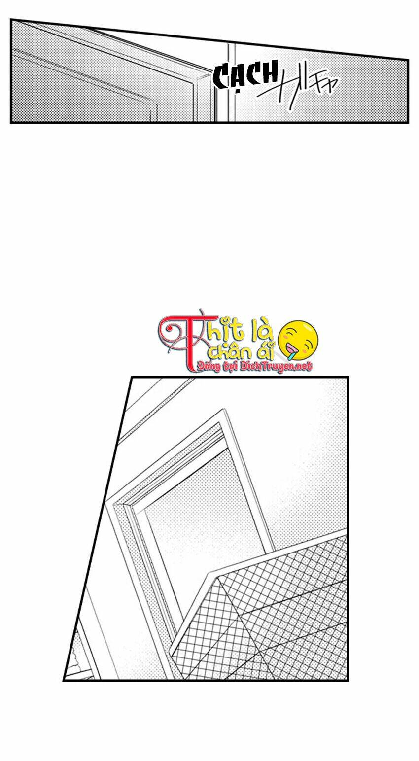 giả vờ ngủ cũng không ngăn được anh ấy chapter 7 9