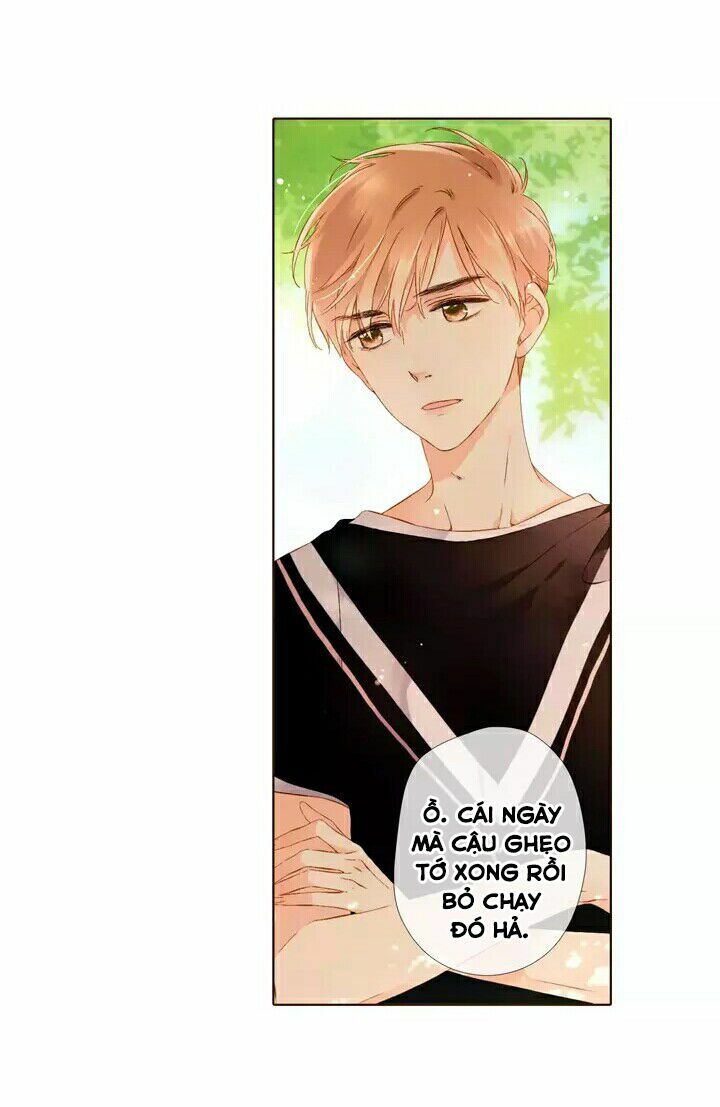 Tình yêu là màu hoa anh thảo chapter 28.2 10