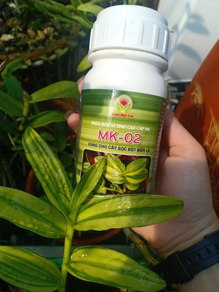 Phân Bón Vi Sinh Cao Cấp MK-02 Dùng CHo Cây Sọc Đột Biến Lá-250ml