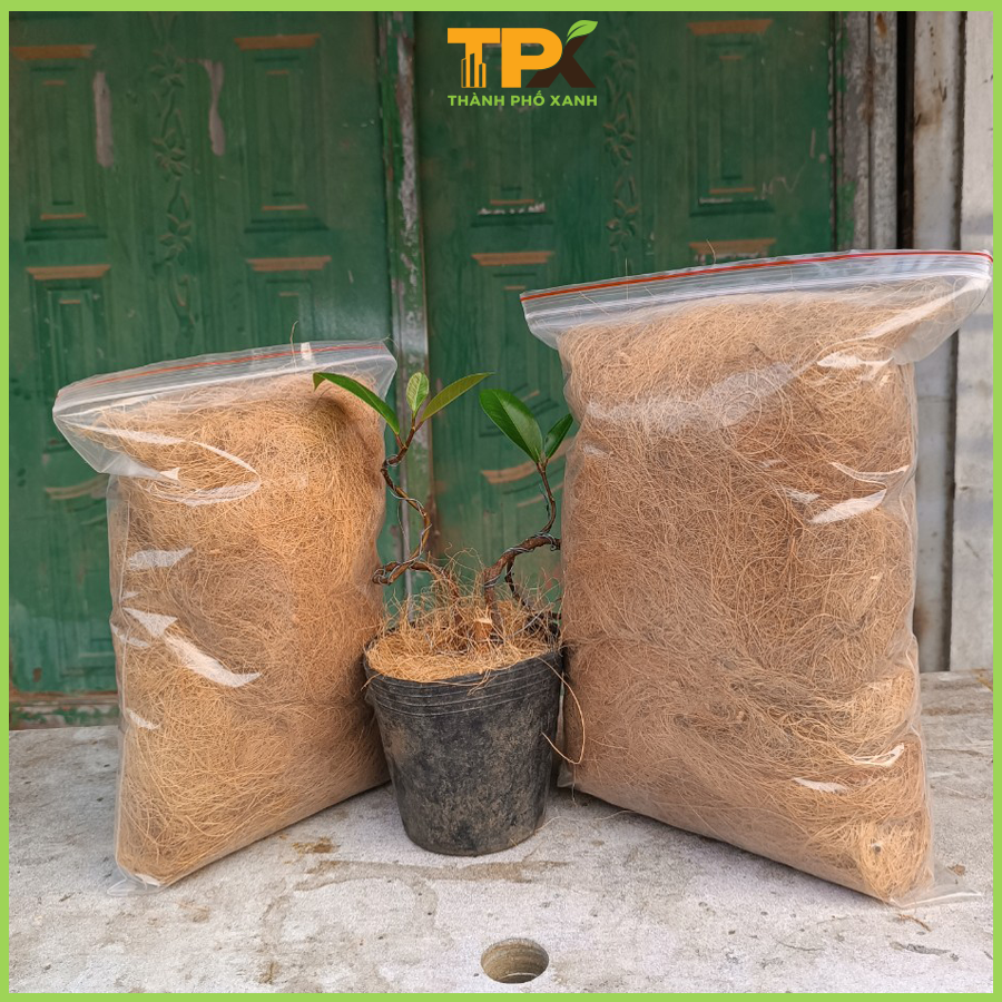 1kg chỉ sơ dừa che phủ chậu cây ,rau ,hoa...trồng lan