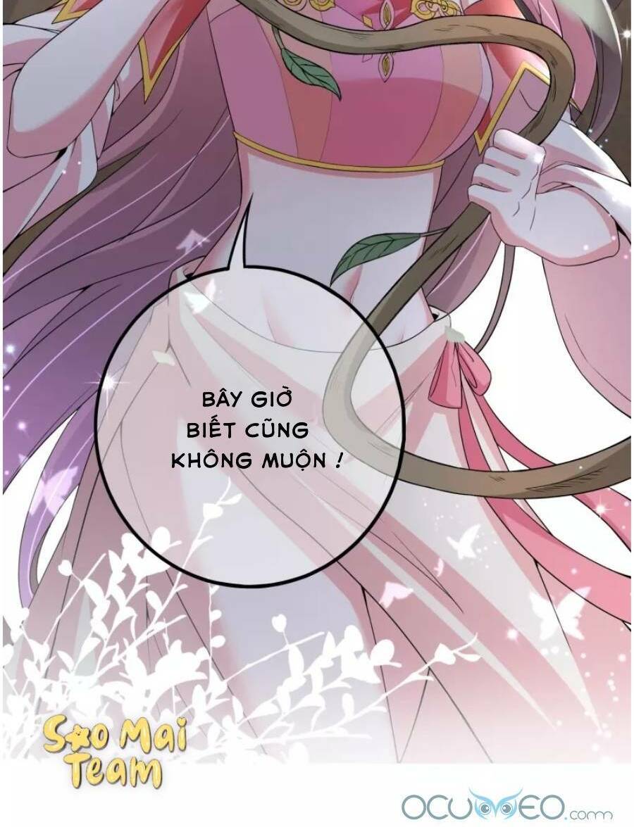 long vương truy thê chapter 9 29