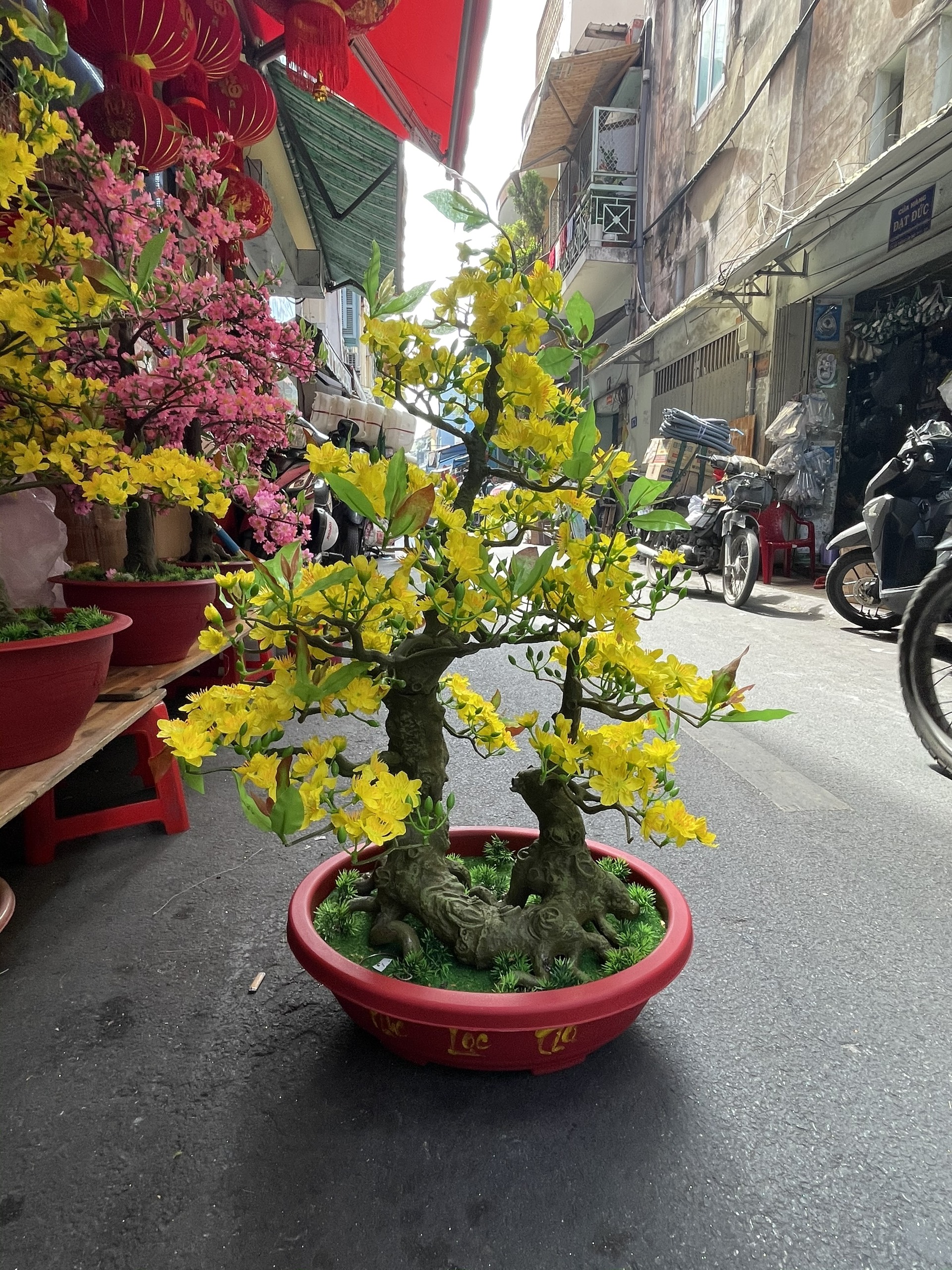 Cây Hoa Mai Bonsai Nhựa Cao 92 cm Hoa Mai Trang Trí Tết